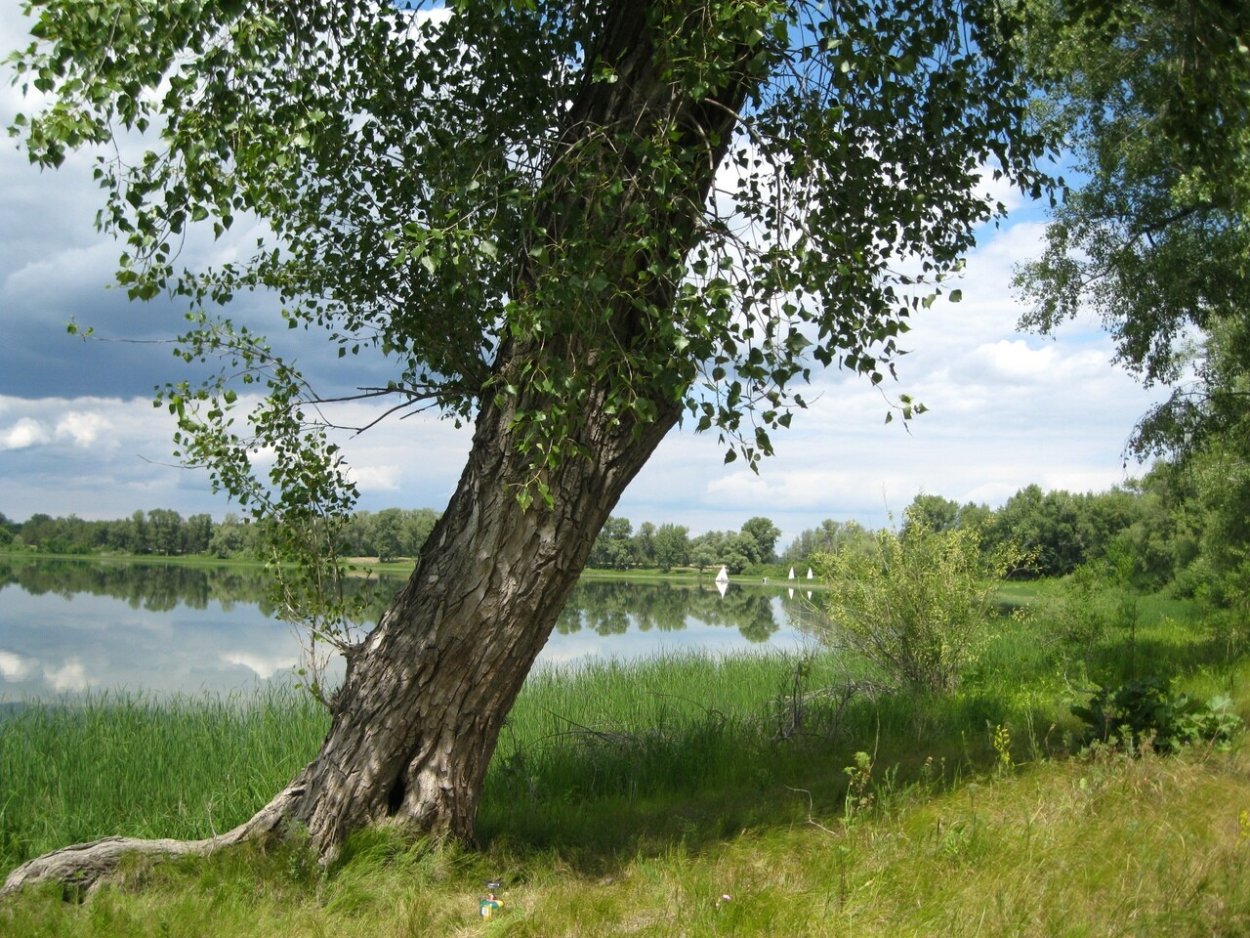 Озеро Песчаное Поджабный