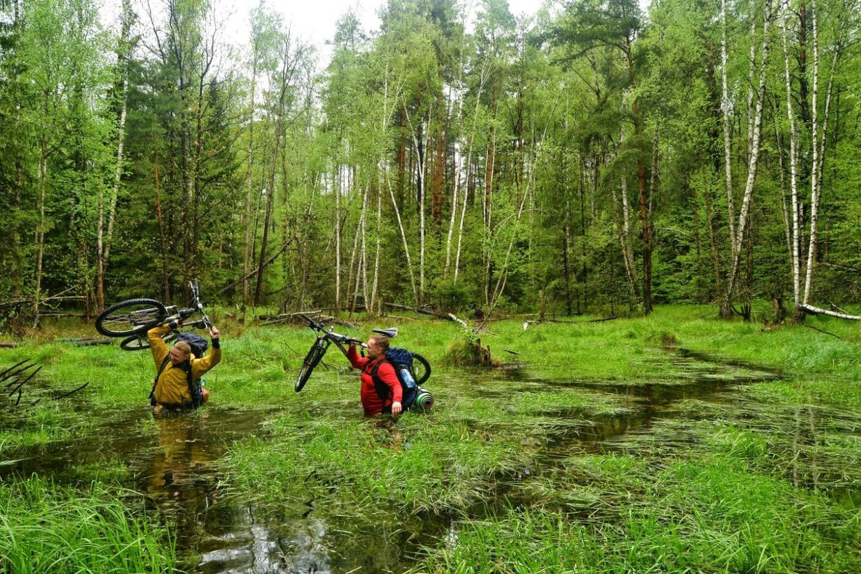Туристические походы по болоту