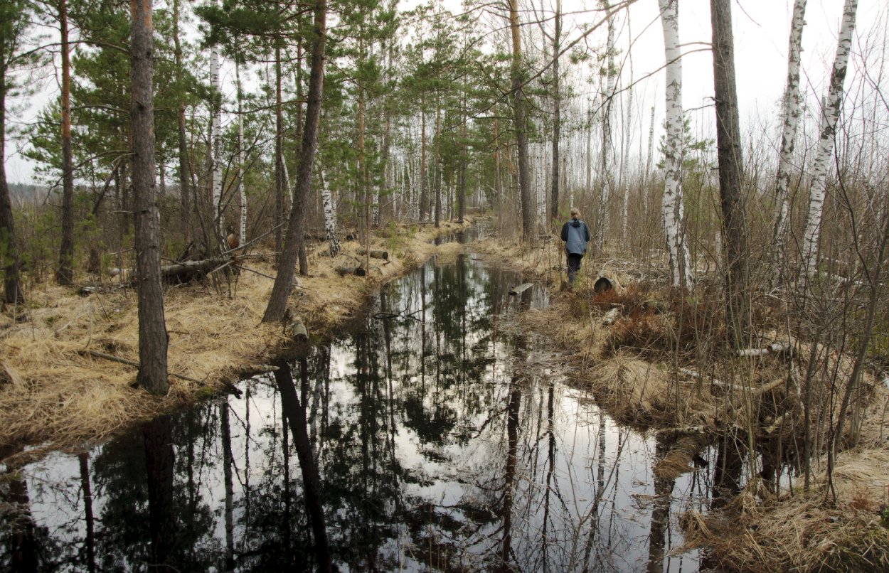 Рязань красно ееболото