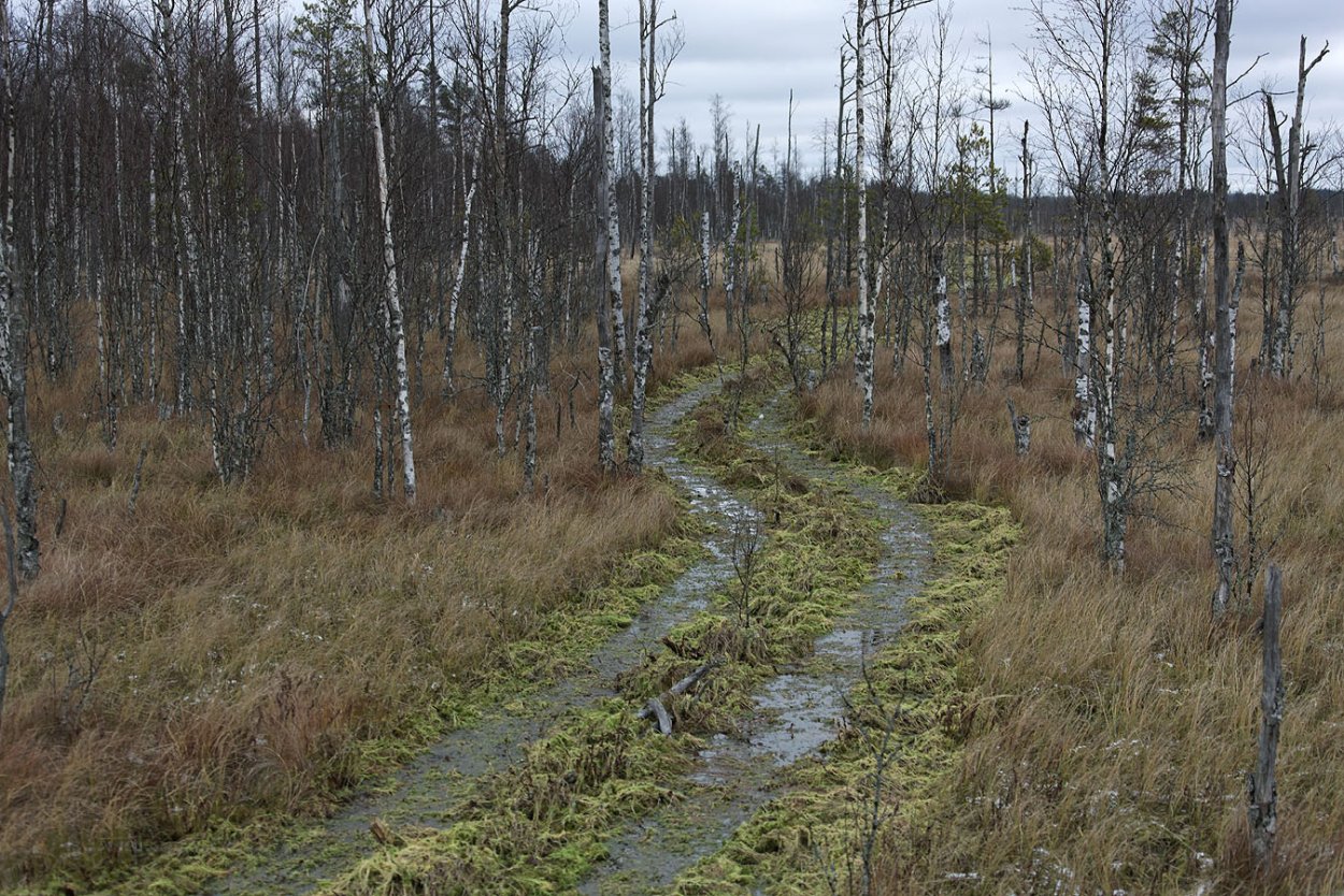 Чертово болото Миасс