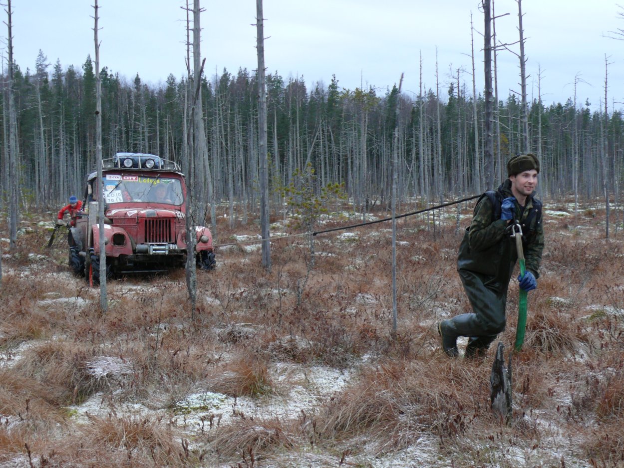 Битюковское болото