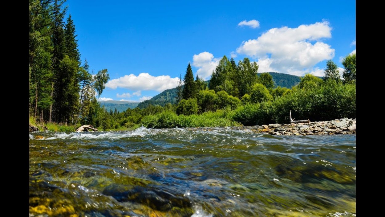 Река Тюгурюк Алтай