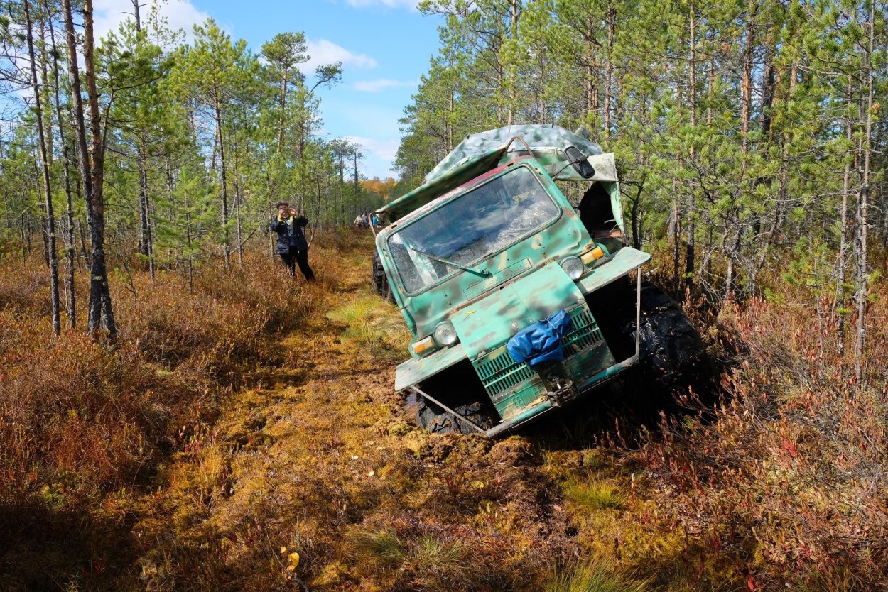Васюганское болото