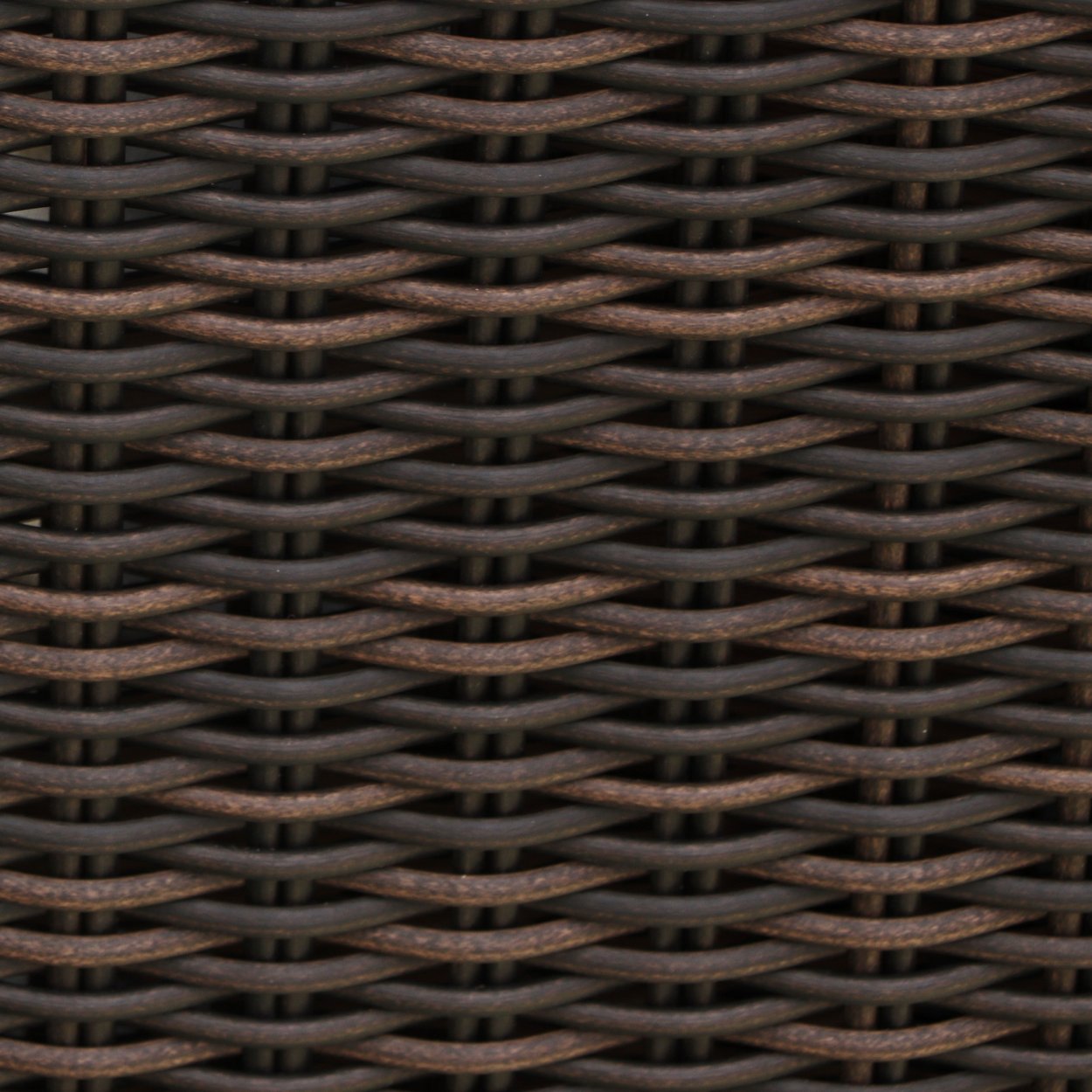 Лиана ротанг