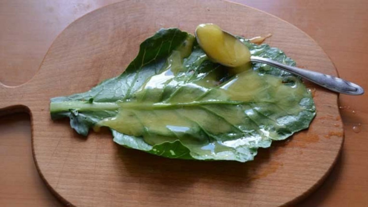 Компресс из капустных листьев