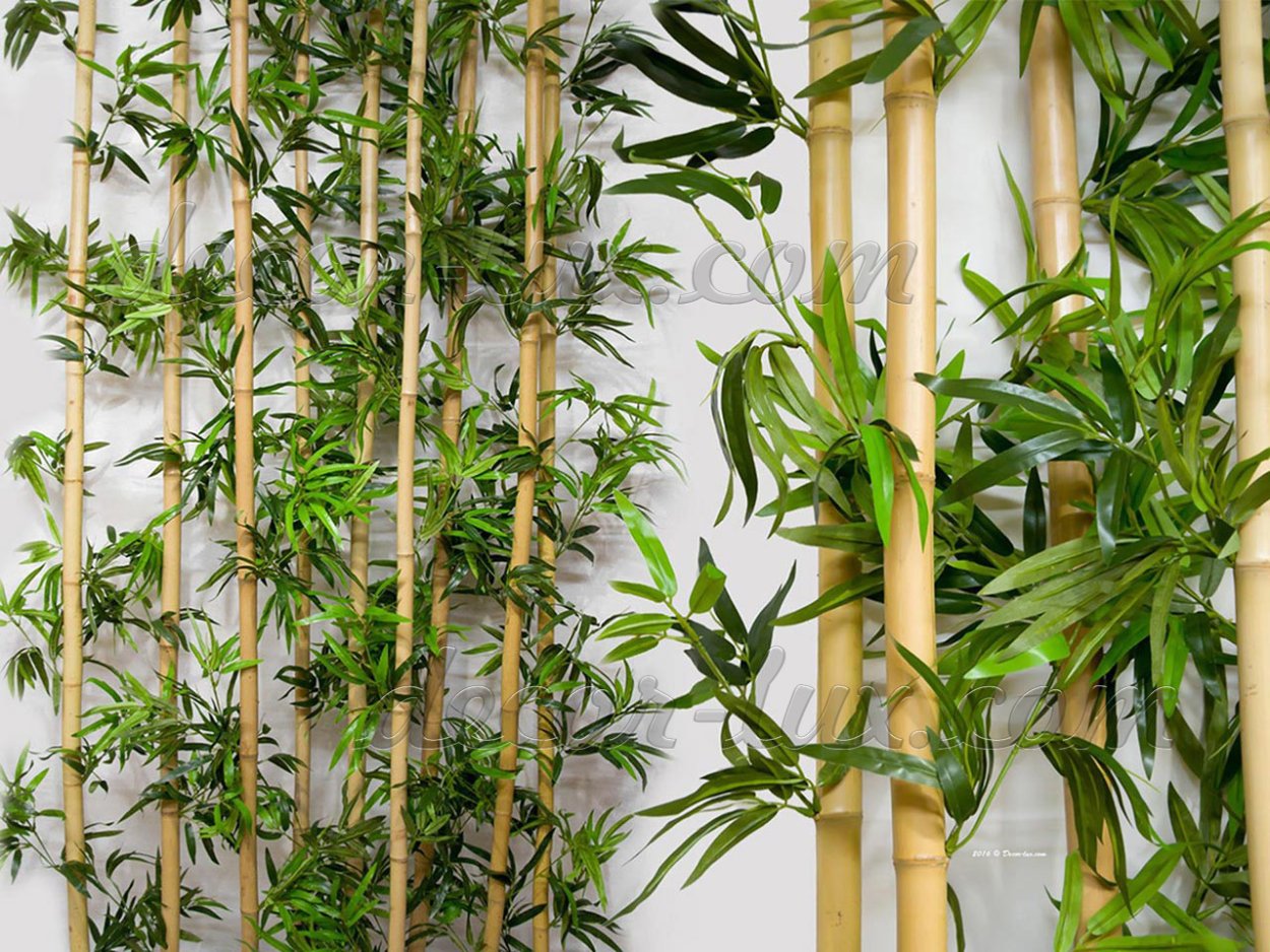Бамбуковые перегородки