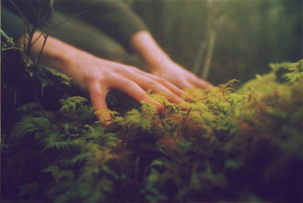 Человек и природа Эстетика