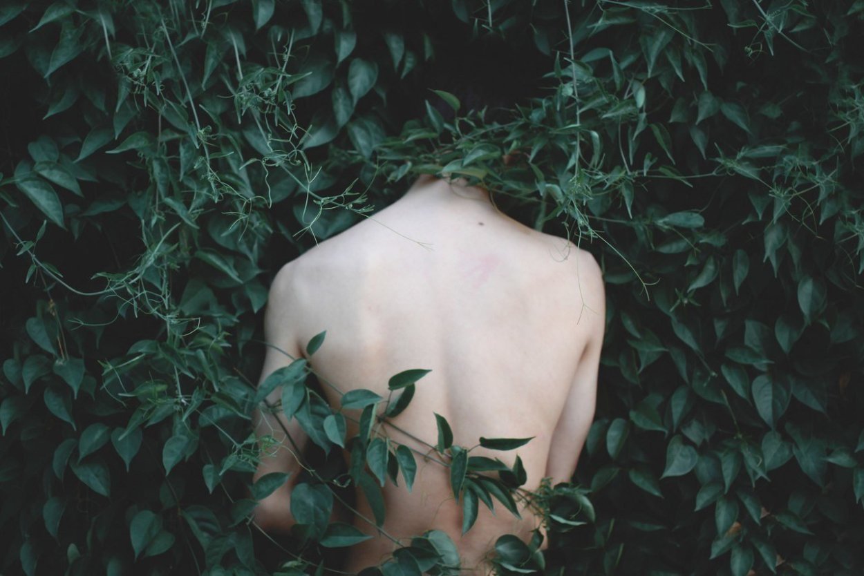 Эстетика зеленого