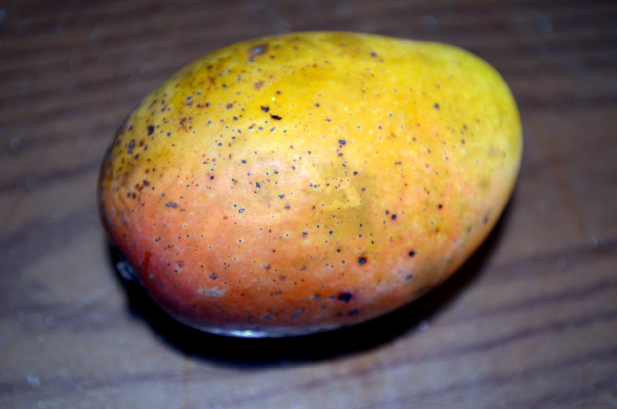 Антракноз манго