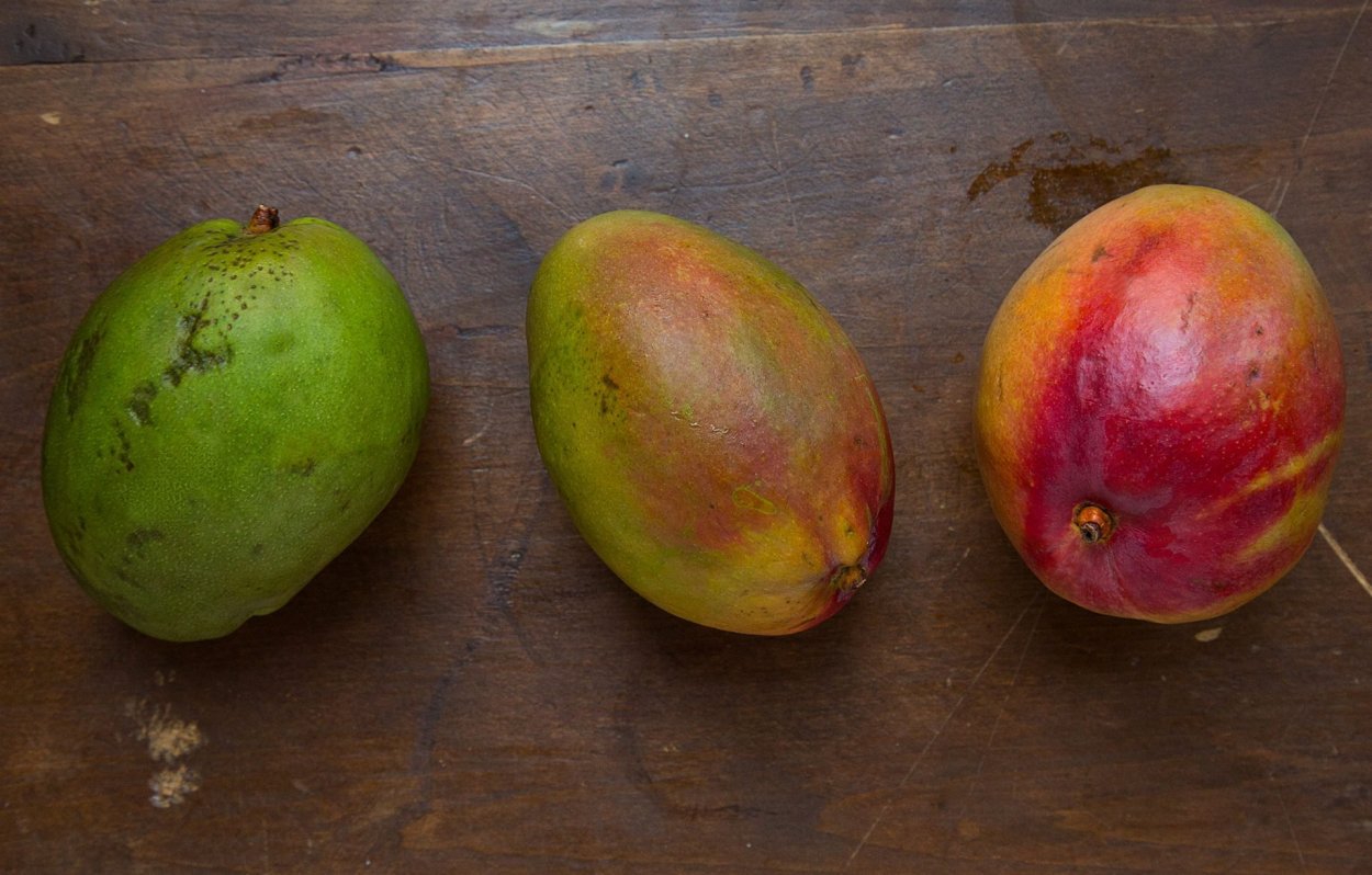 Манго зрелость плода