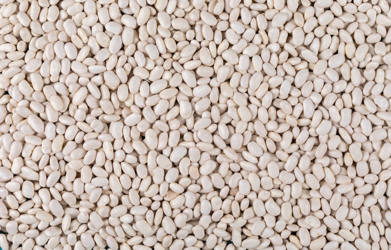 Haricot Beans