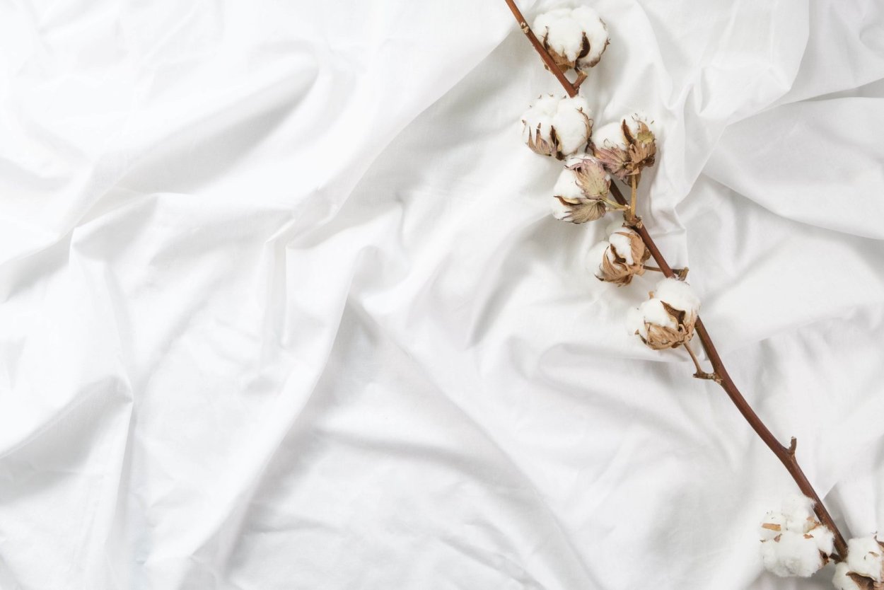 Хлопок на бежевом фоне