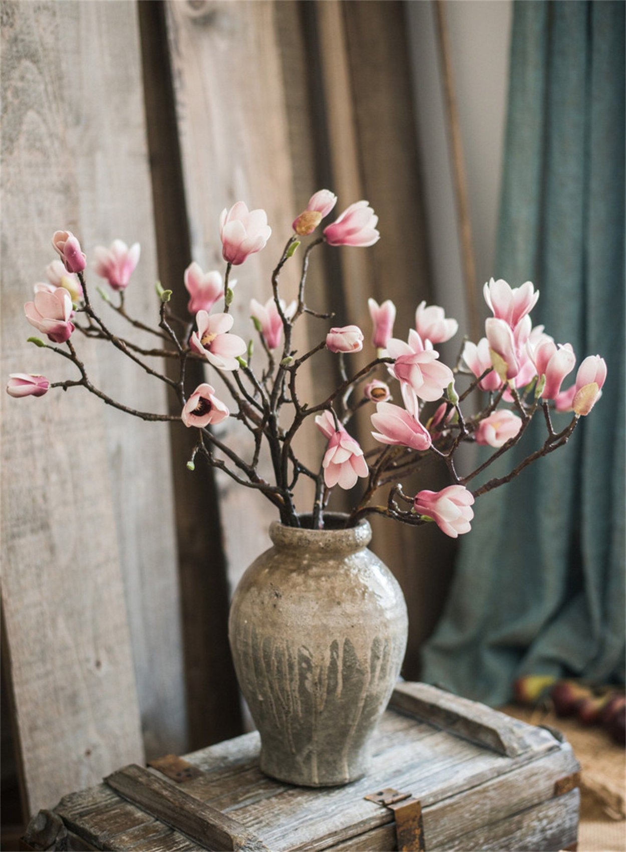 Магнолия сухоцвет