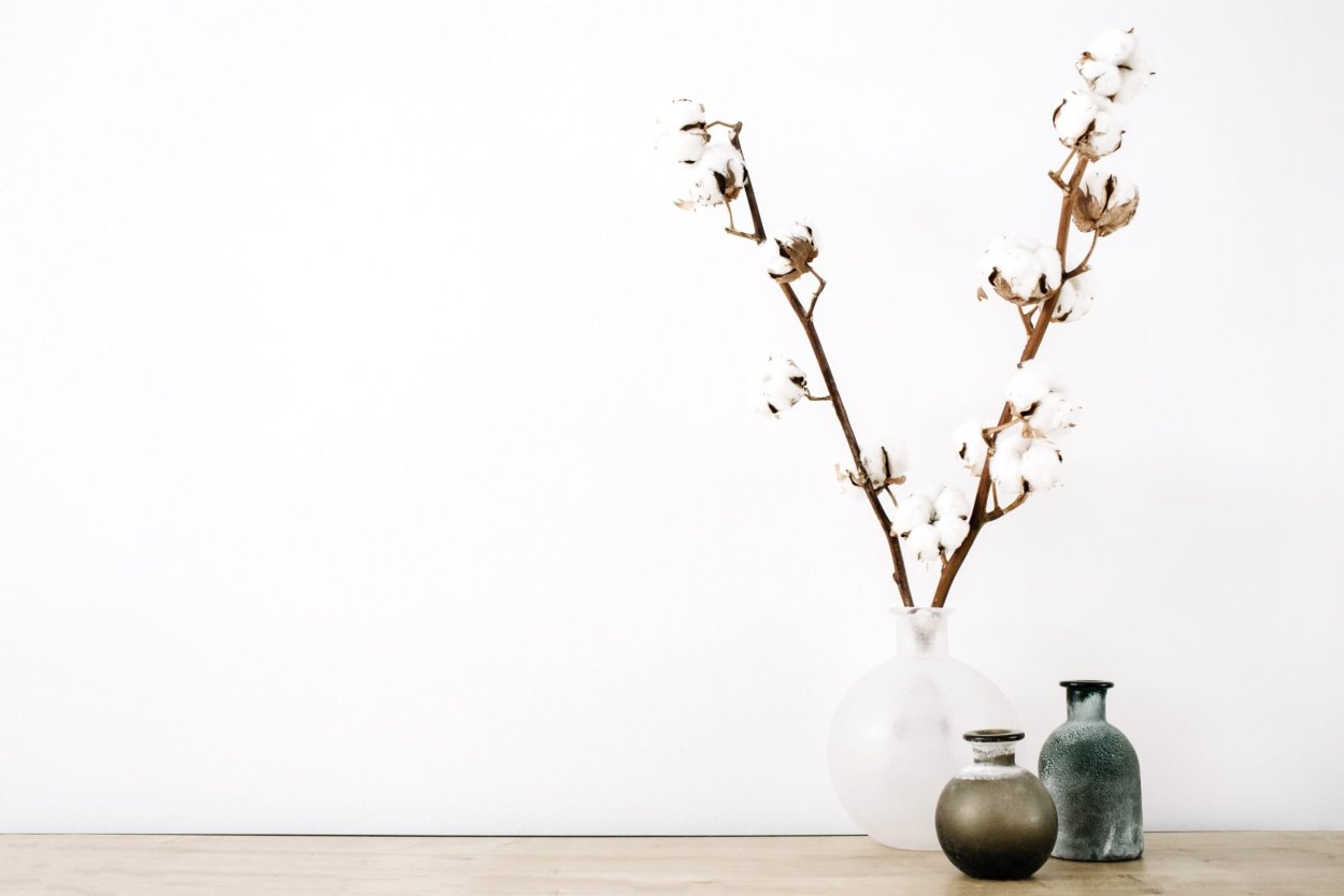 Ваза с веткой Эстетика