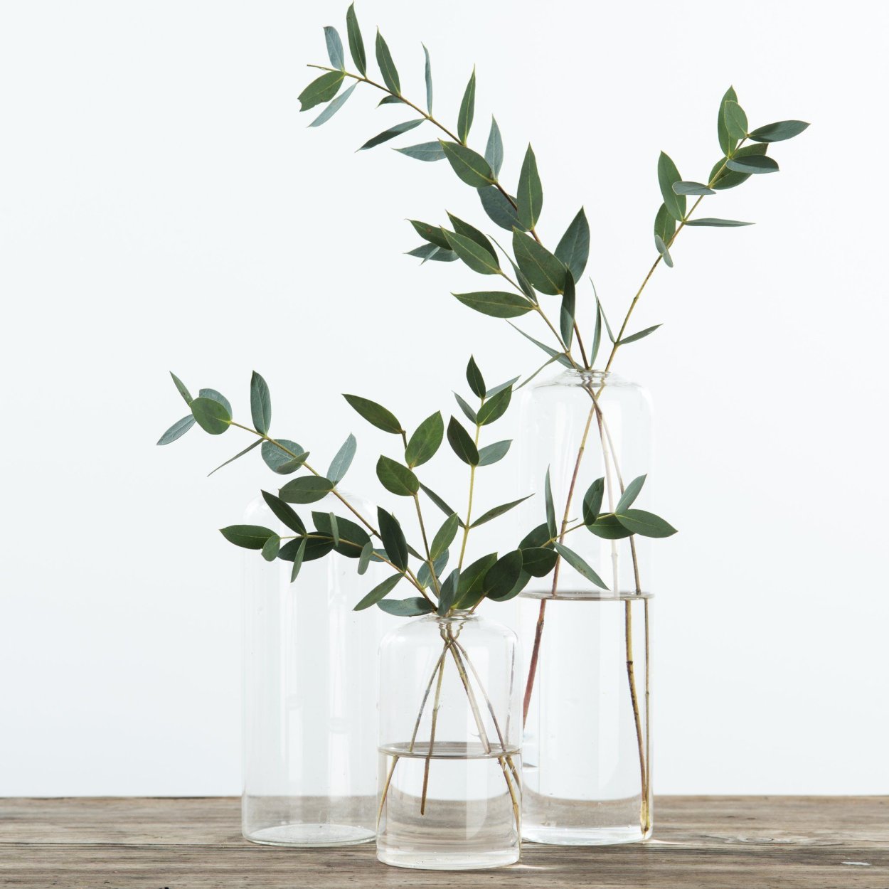 Зеленые ветки в вазе