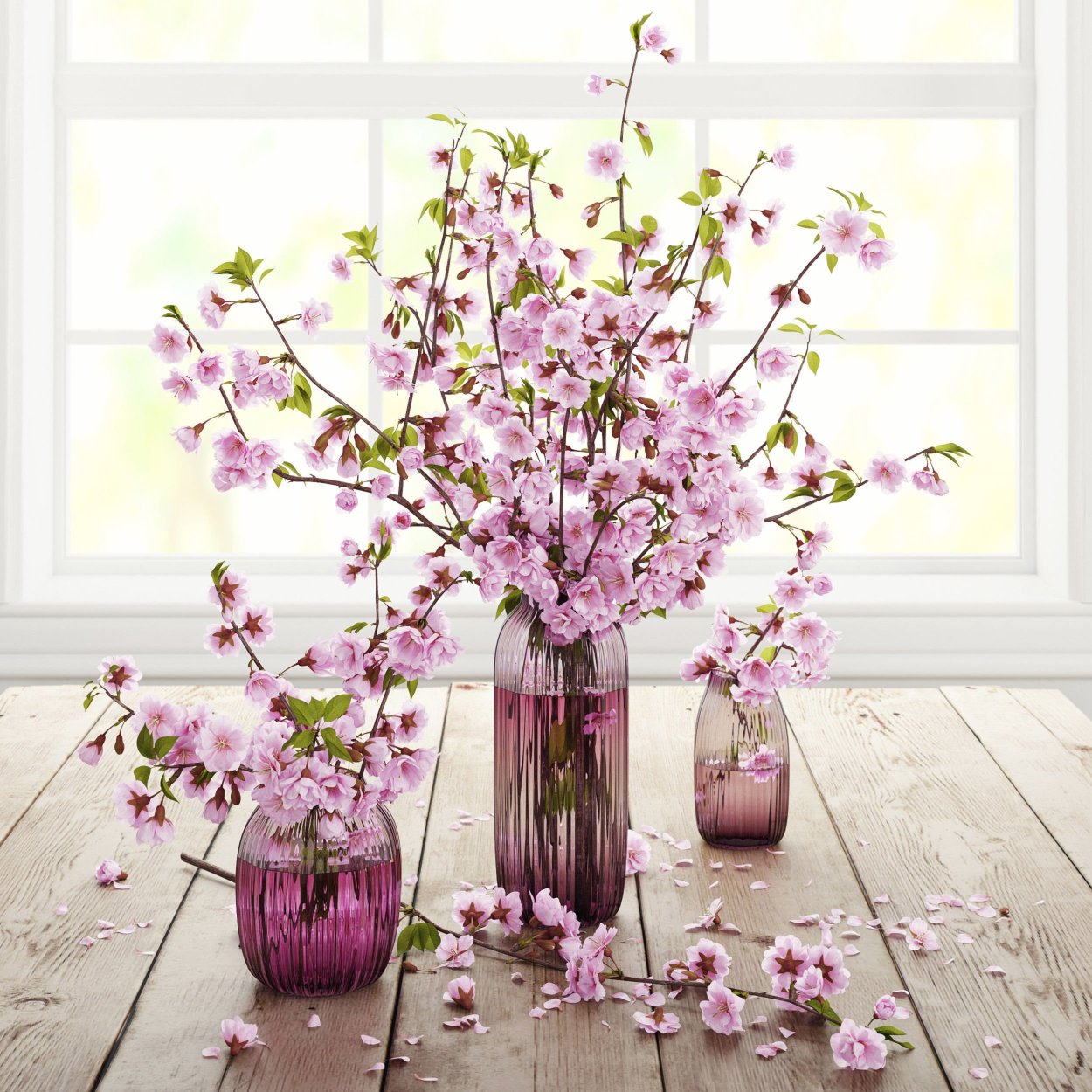 Ветка Сакуры в вазе