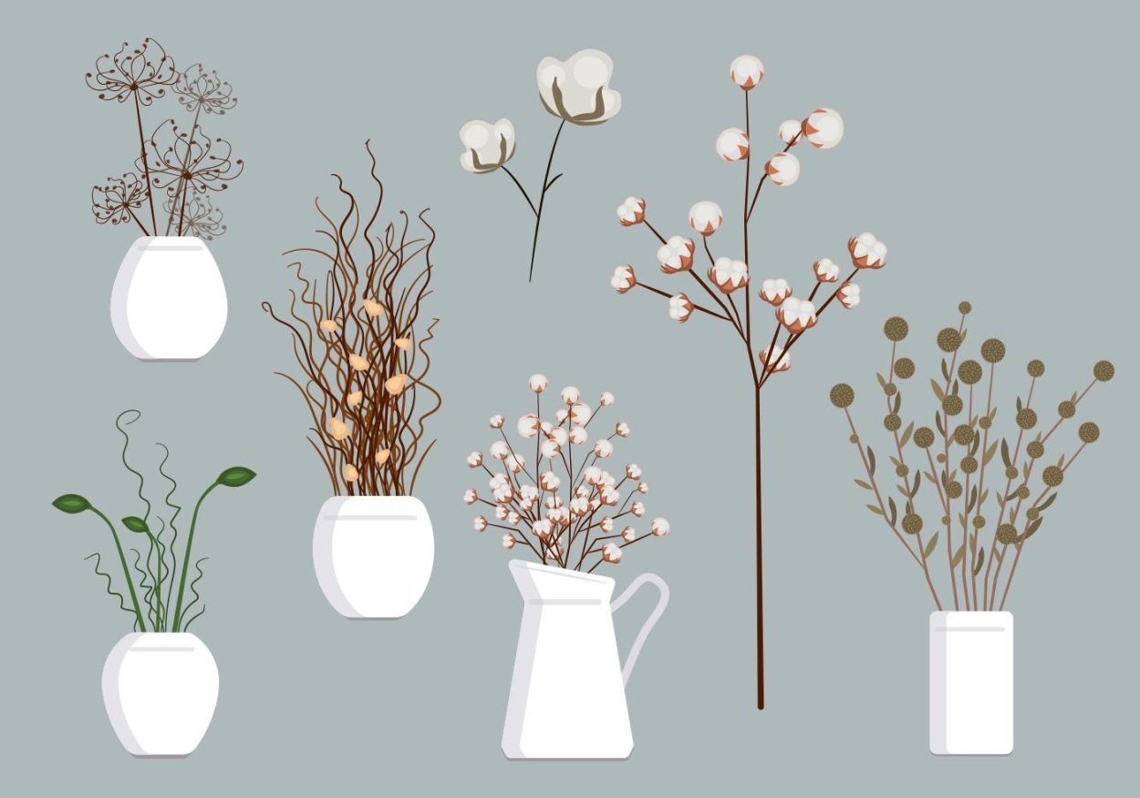 Сухоцветы вектор