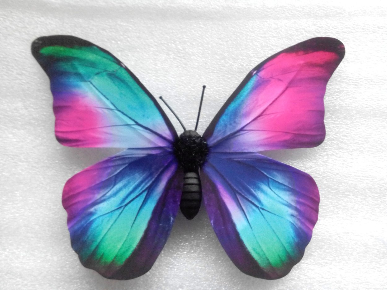 Бабочки розово голубые