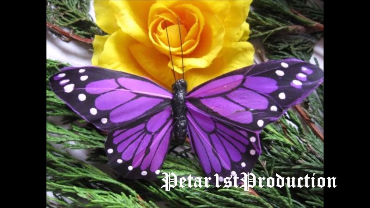 Желто фиолетовая бабочка