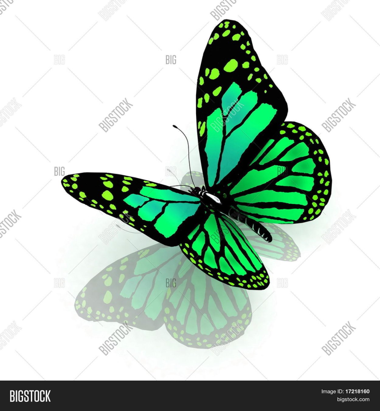 На белом фото зелёные бабочки