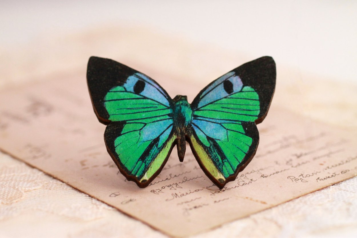 Красно сине зеленая бабочка