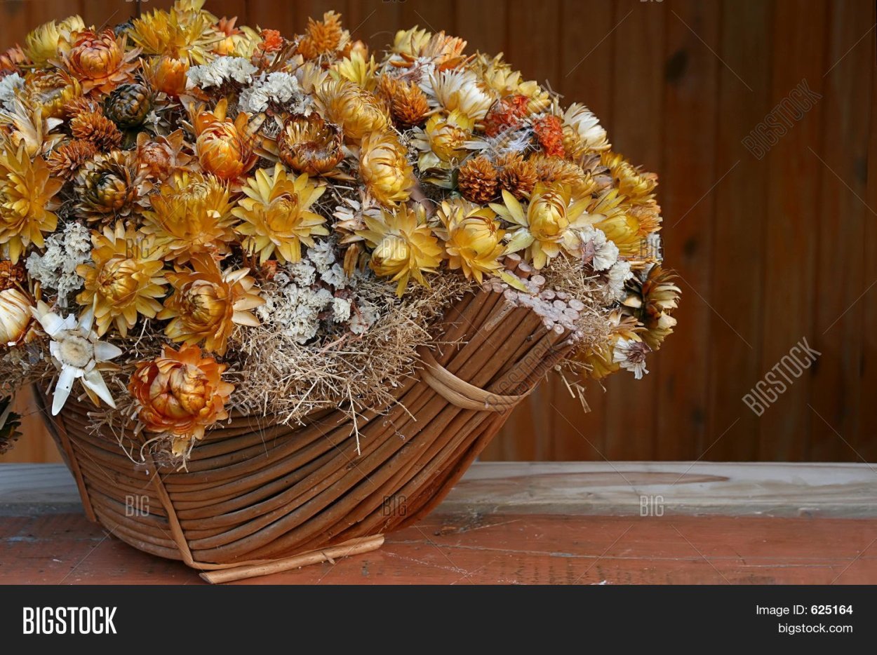 Венок гелихризум сухоцвет