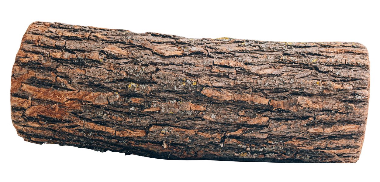 Чурбан полено