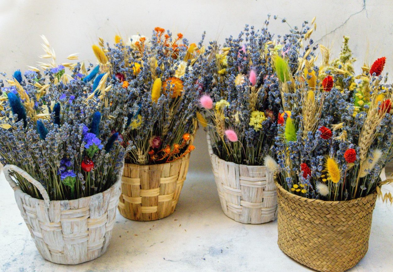 Сухоцветы "сад Прованс"