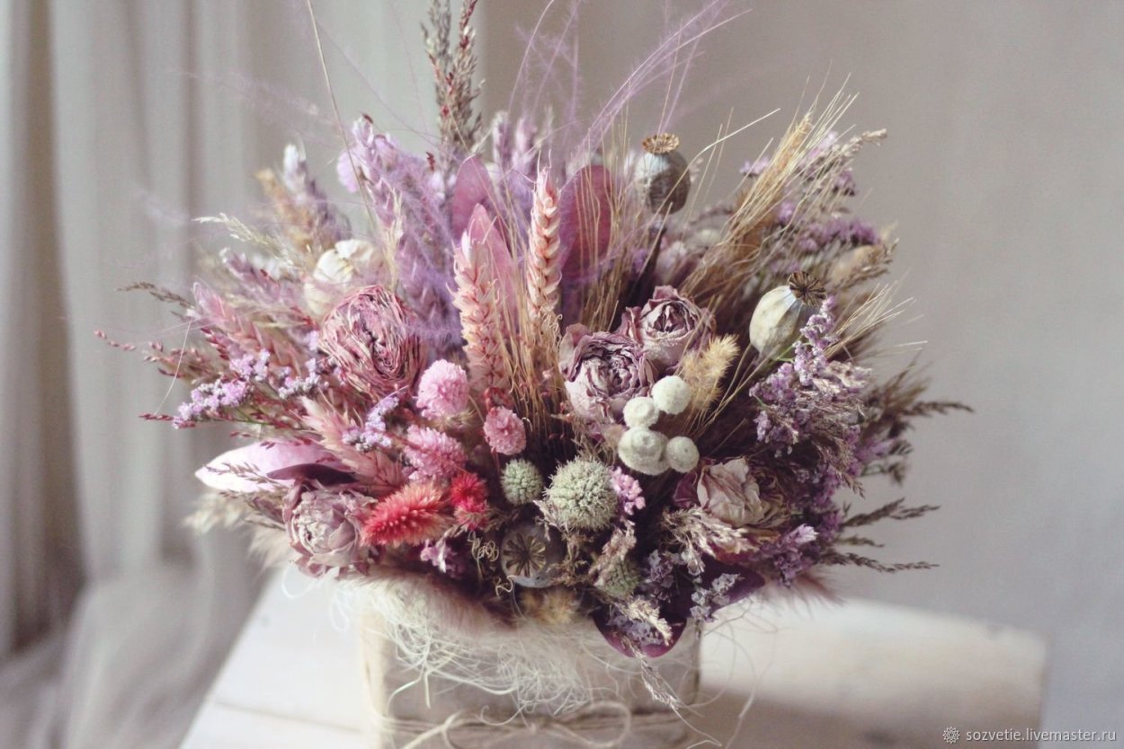 Сухоцветы колоски