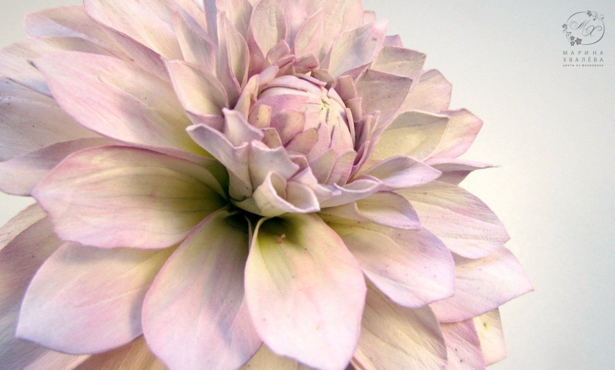 Георгины из фоамирана