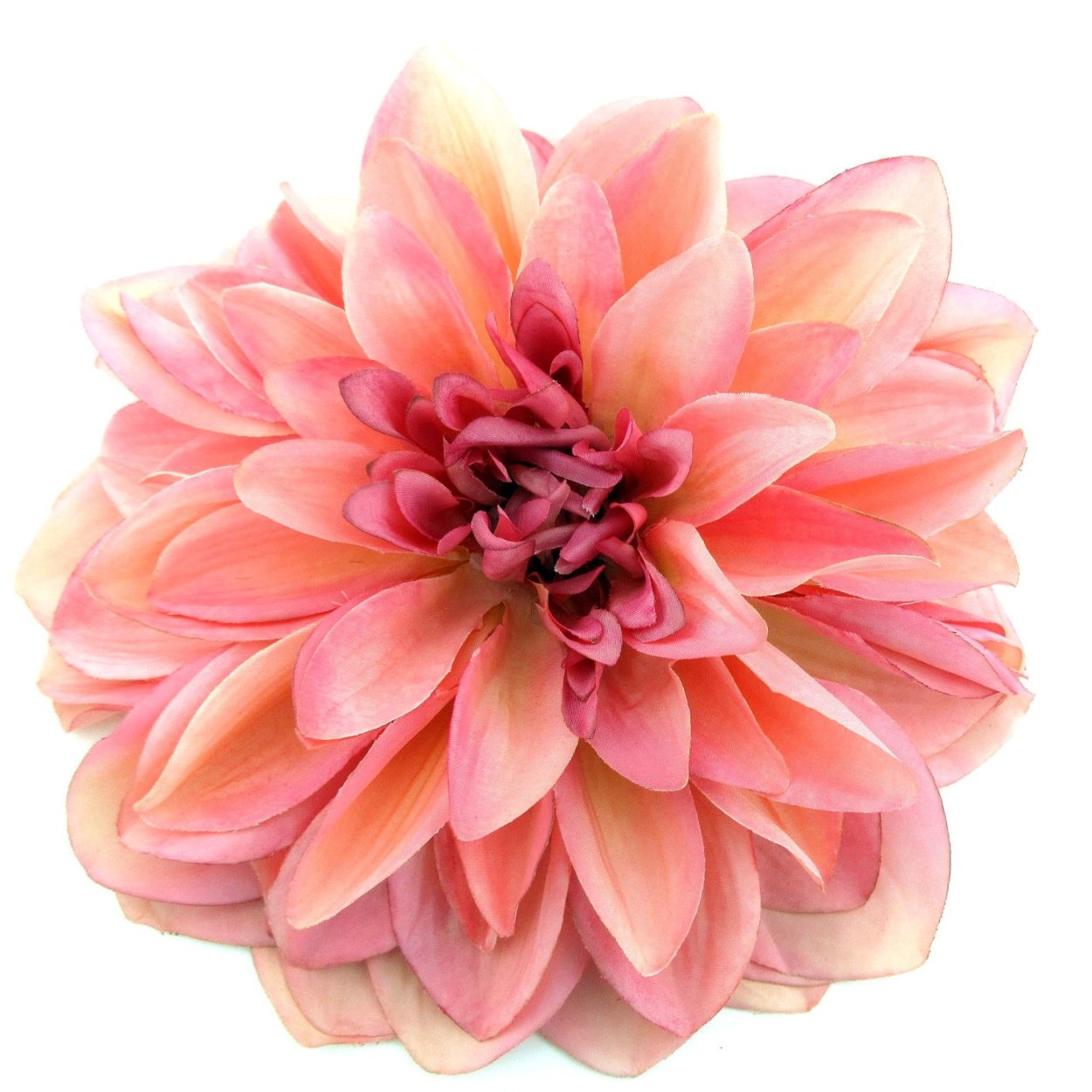 Георгины Пинк Силк