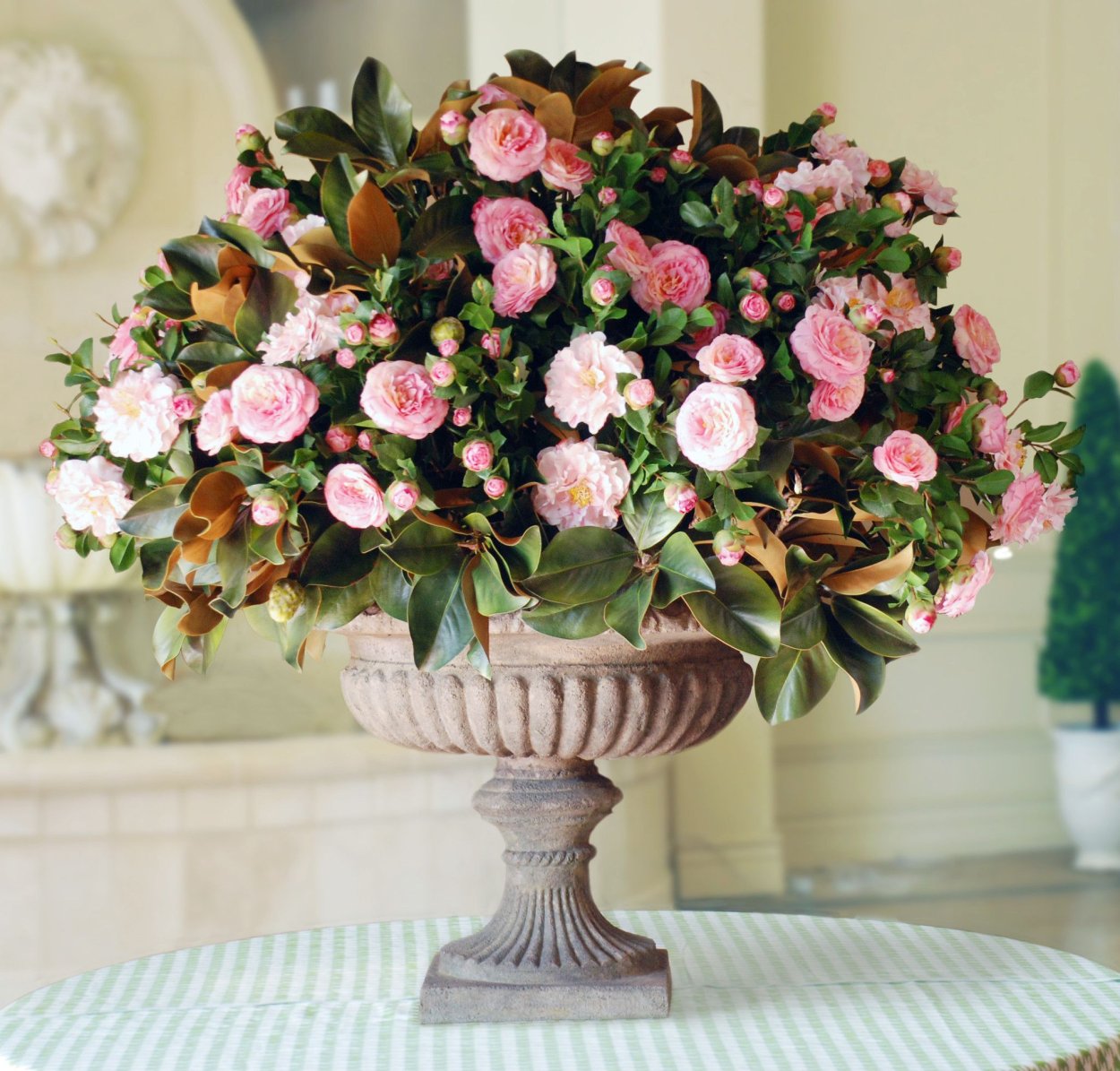 Камелия цветок комнатный