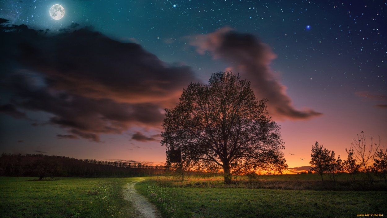 Природа ночью