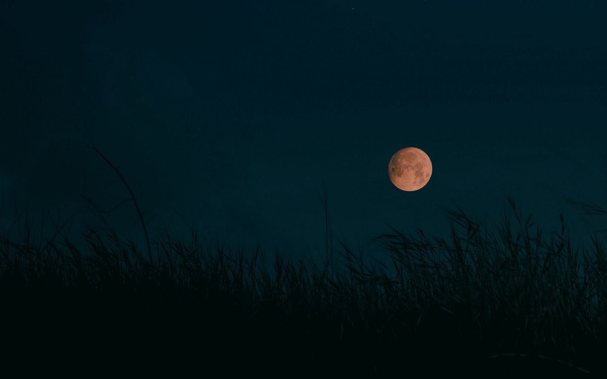 Обои на рабочий стол ночь Луна