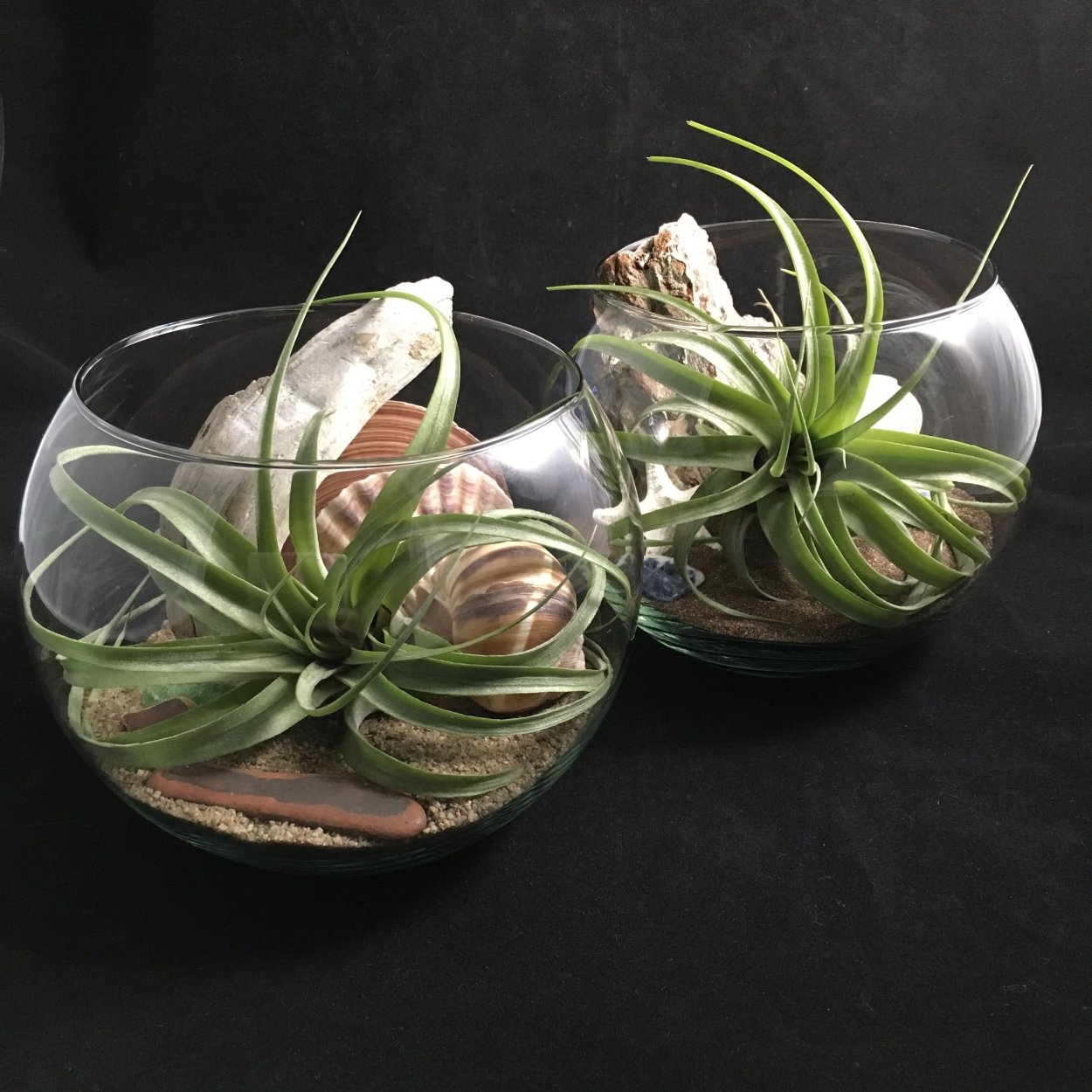 Горшки для тилландсии атмосферные