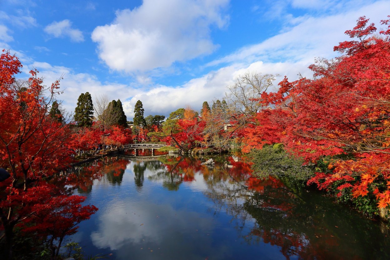 Момидзи в Японии