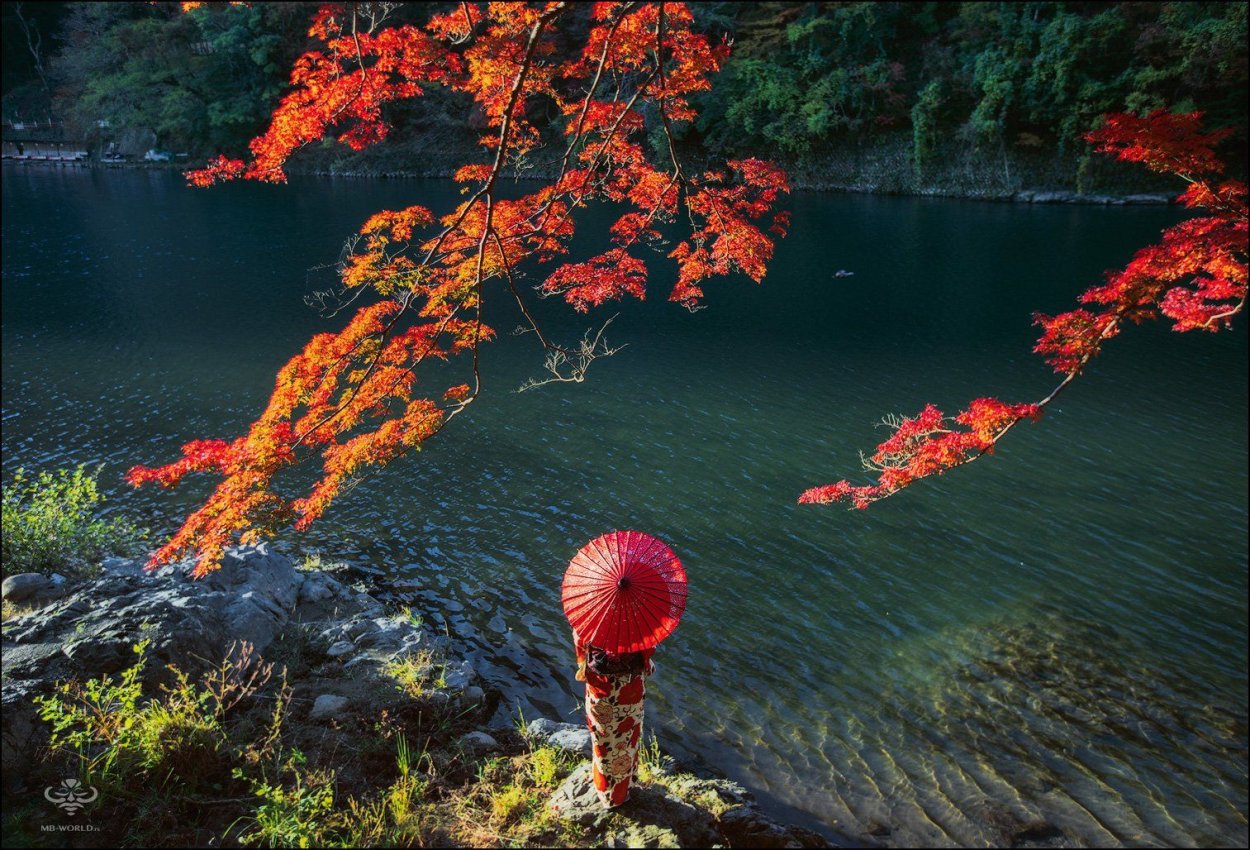Момидзи в Японии