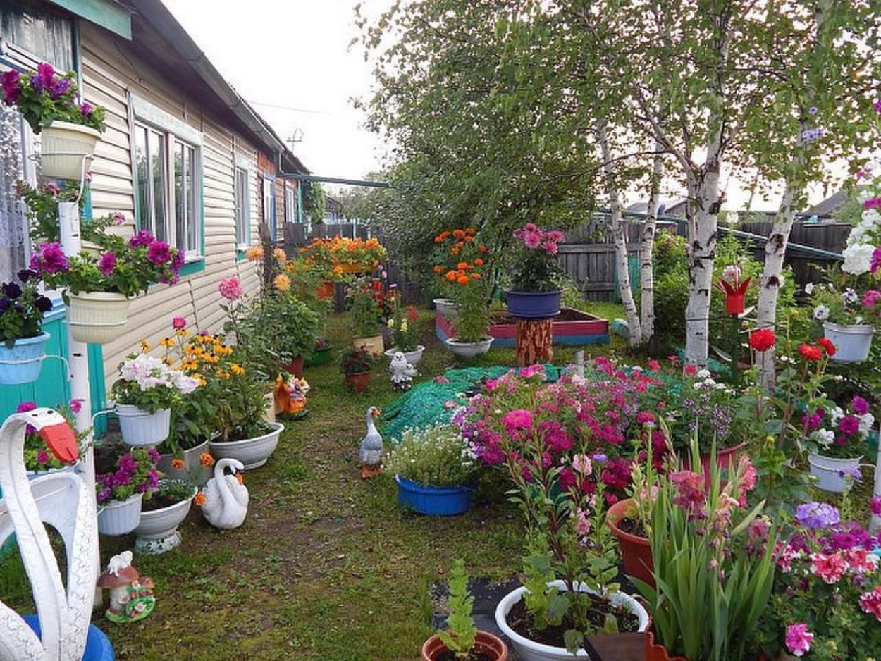 Красивый двор в деревне