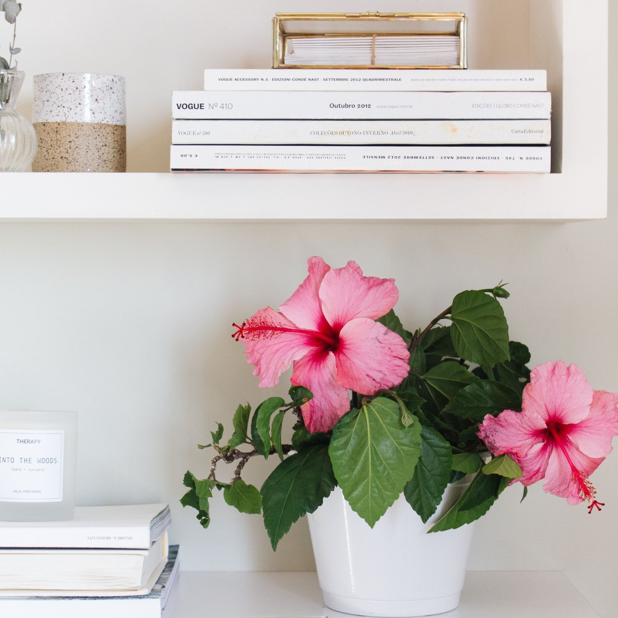 Гибискус в интерьере