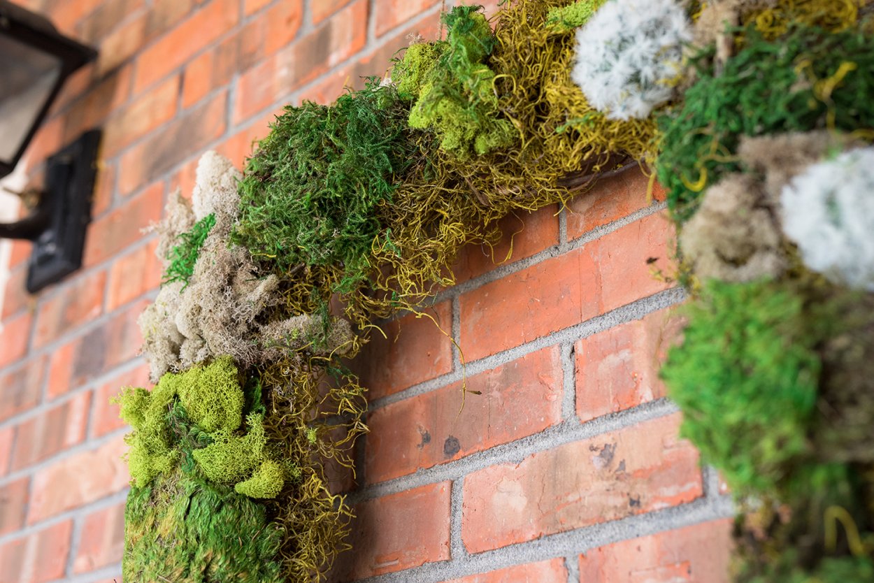 Композиции из мха своими руками