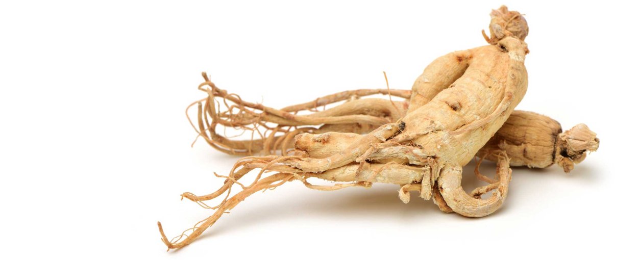 Корни женьшеня Фармакогнозия
