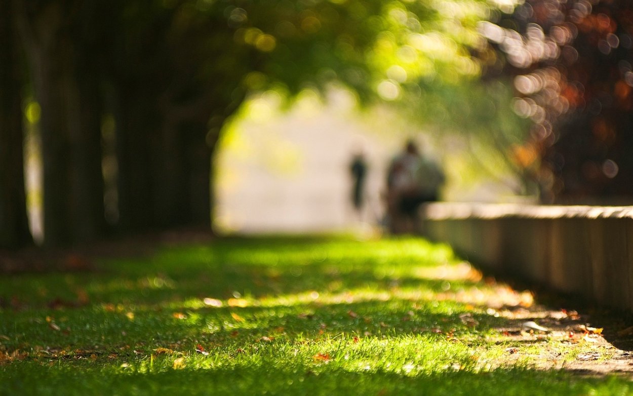 Размытый фон