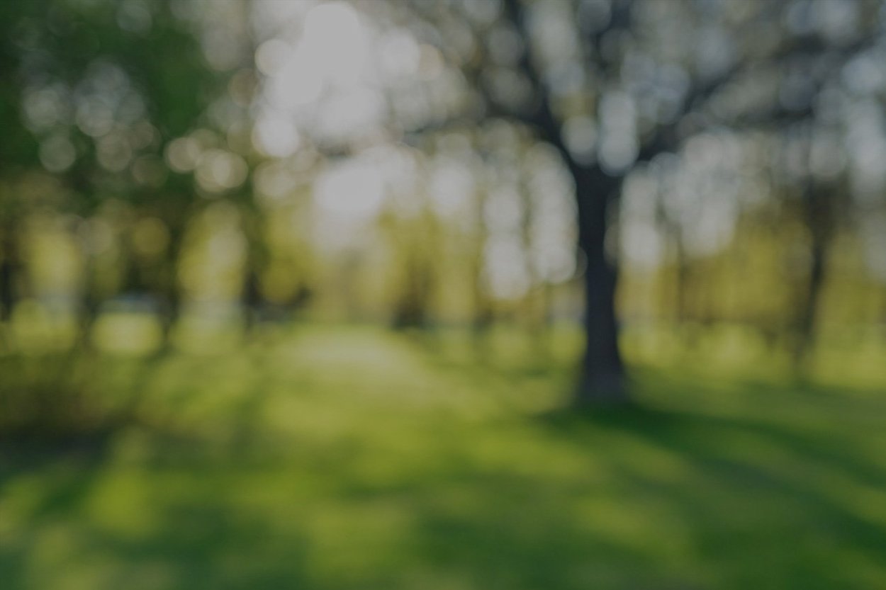 Летний парк размытие