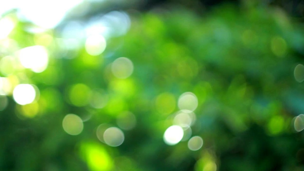 Боке зелень