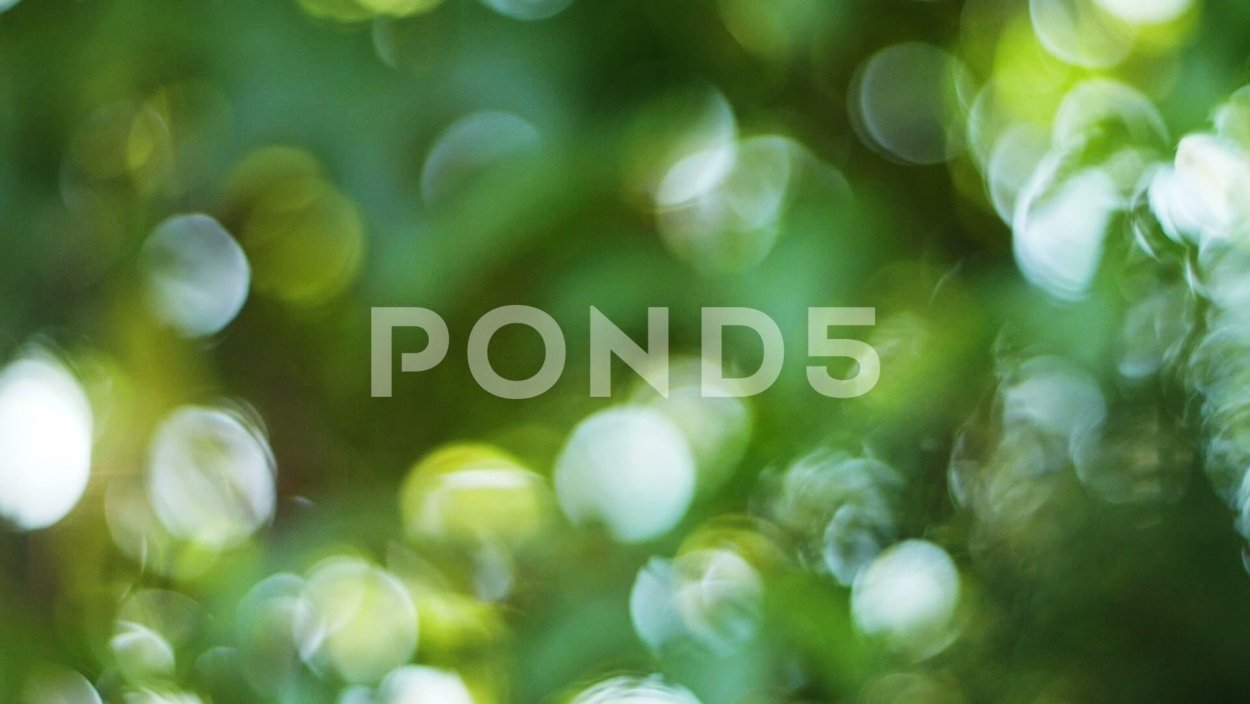 Зеленый фон боке