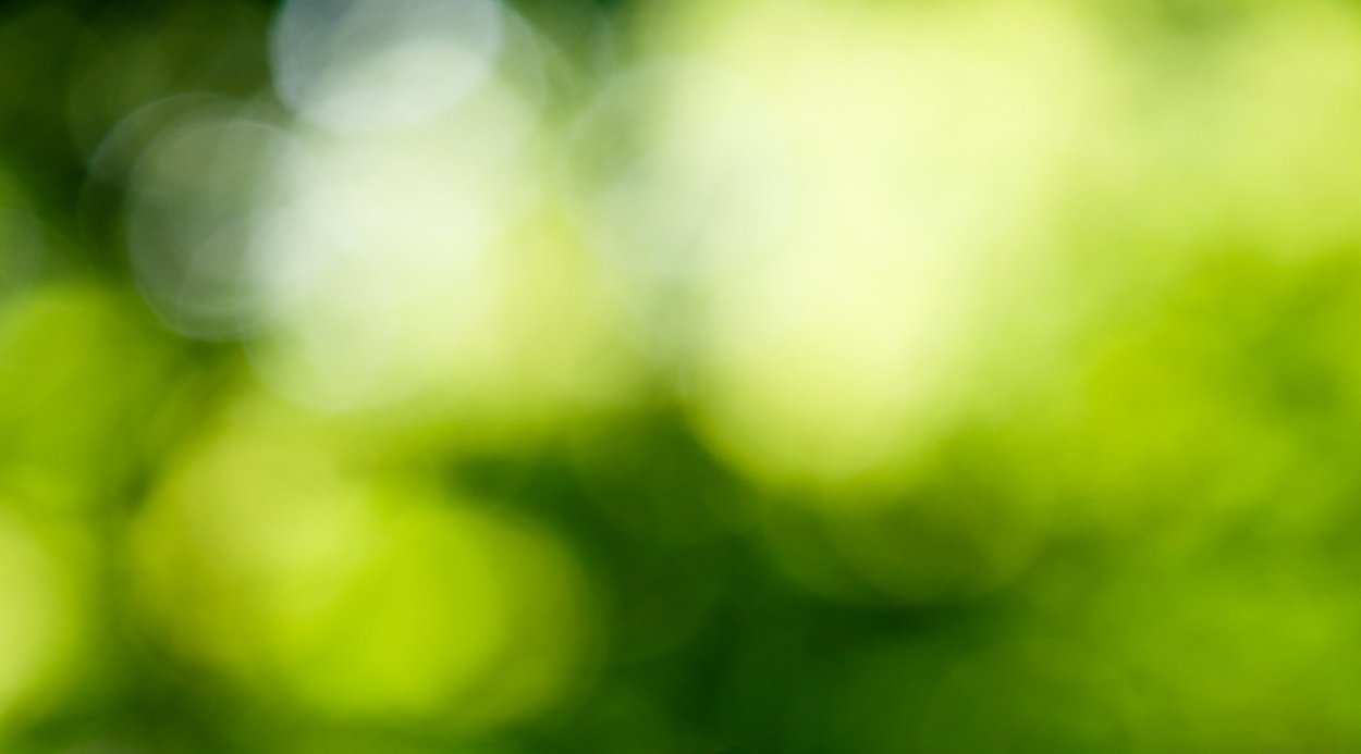 Размытая зелень