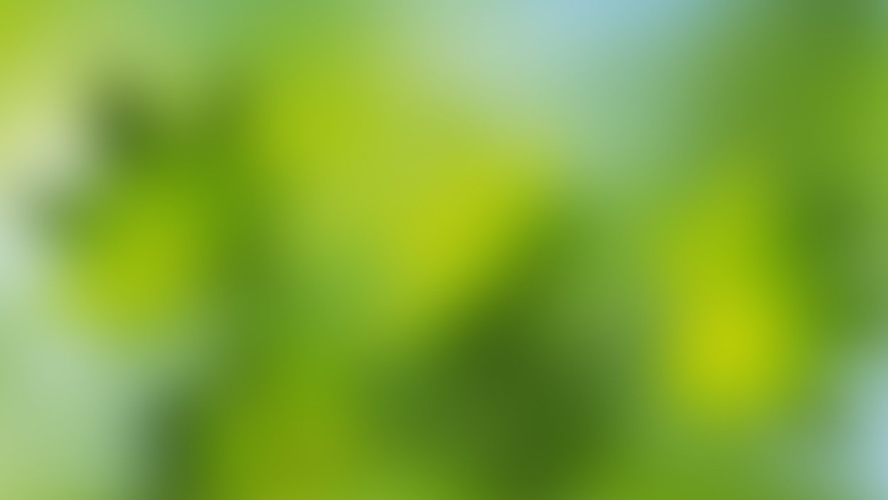 Фон зеленая листва размытый