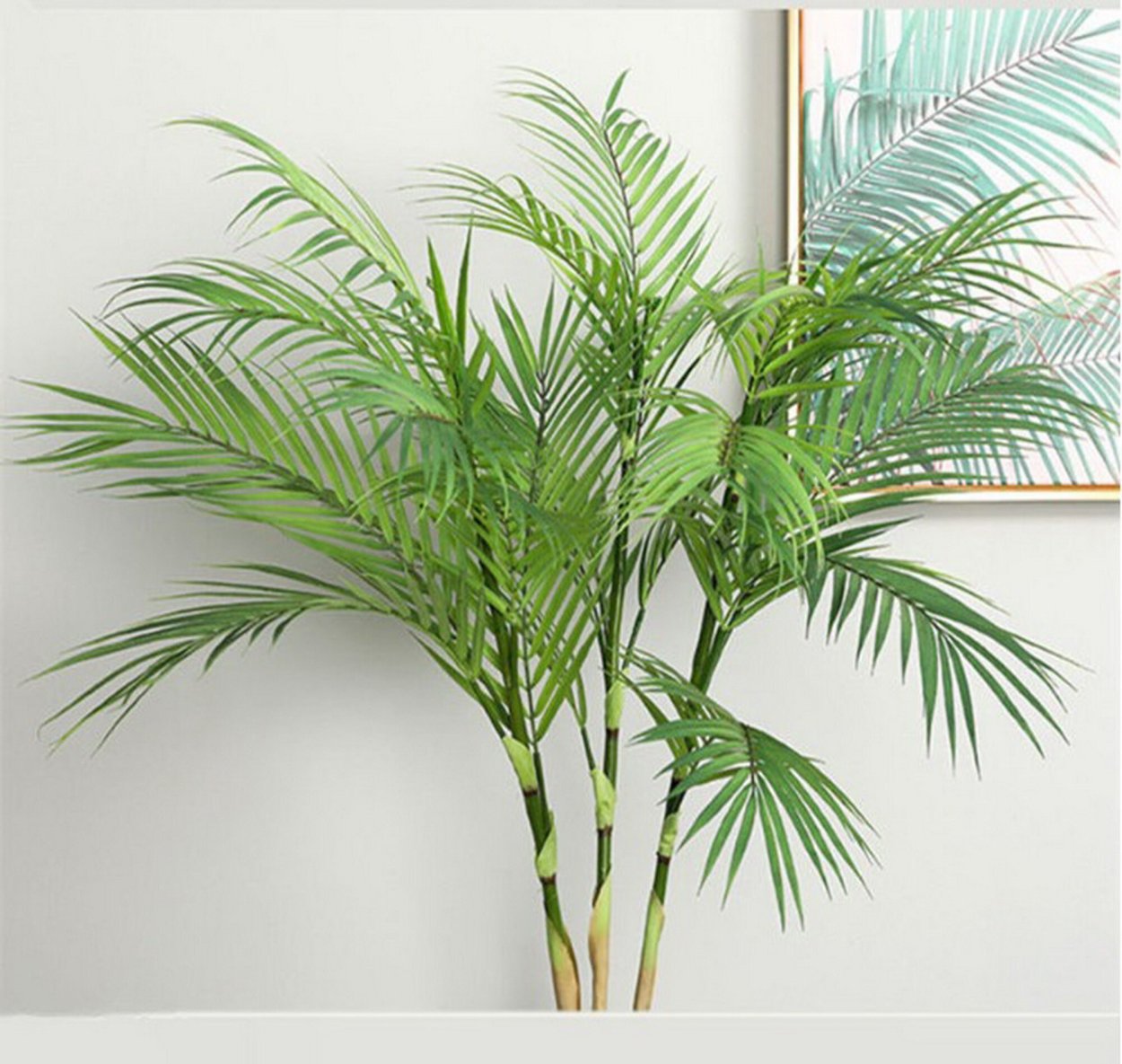 Пальма кустовая