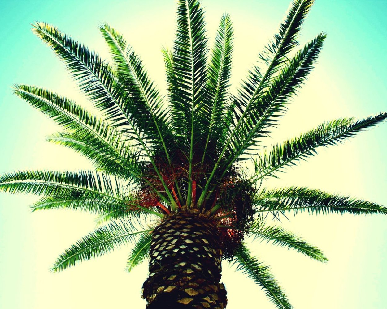 Картинки на рабочий стол успокаивающие