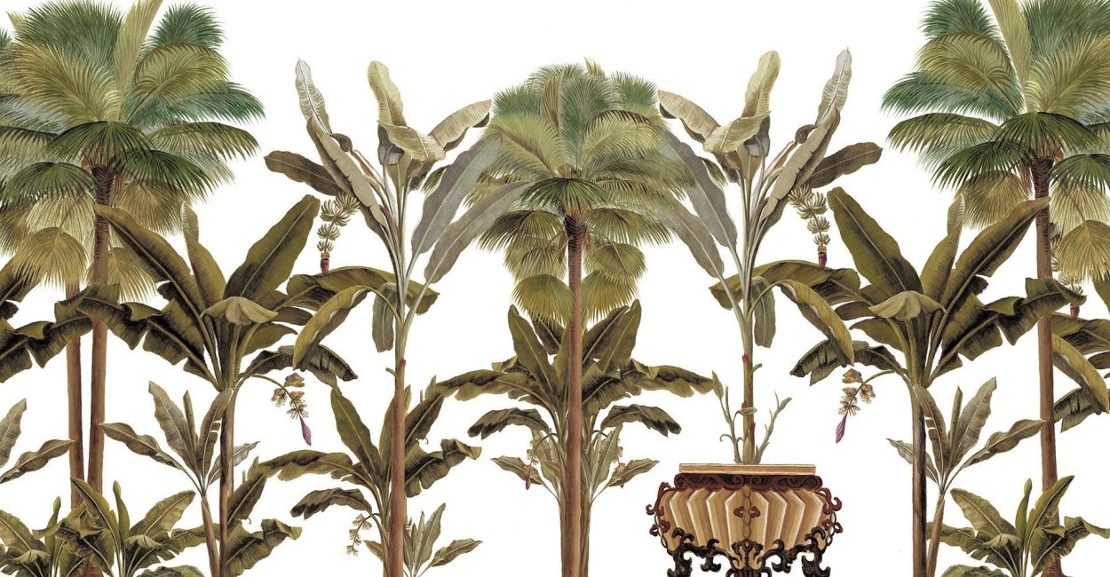 Пальма банановая Шинуазри